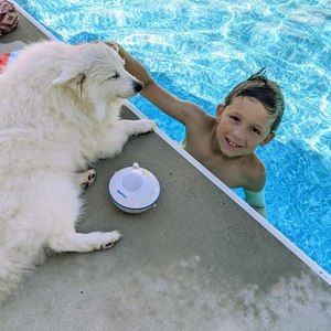 Meet your Posher, Ruth